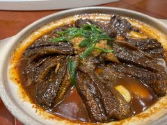 -丁老爷子苏香圆