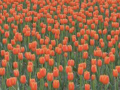 -咸阳湖景区-统一广场