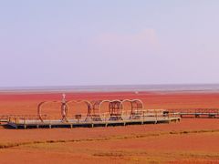 -红海滩国家风景廊道