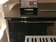 -雅歌音乐培训中心·钢琴培训·乐器培训(交道口店)