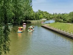 -朝阳公园游乐园