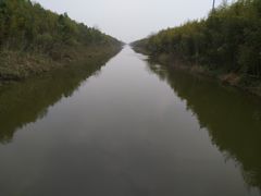 -黄海国家森林公园