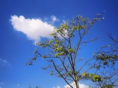 -风云岭森林公园