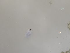 -盛世南宫影视城(北普陀影视城)