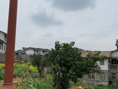 -空港花田景区