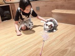 -啵啵喵·猫咖(攀华国际店)