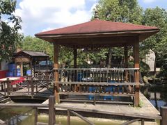 -南汇新场正宗水蜜桃采摘