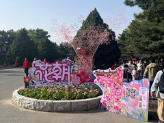 -北陵公园