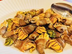 -高佳庄·海鲜酒楼(东港店)