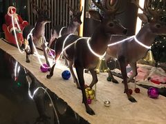 -天津水晶宫饭店