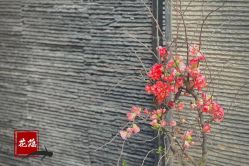 -花隐·美芙炫海菲秀皮肤管理中心