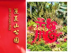 -莲花山公园