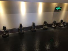 -食神鱼头佛跳墙(百子湾旗舰店)