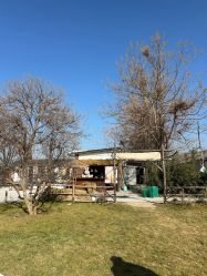 -DORA kids 朵拉儿童摄影花园店