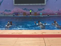 -北戴河圣蓝海洋公园