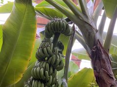-第五季龙水凤港生态露营农场