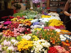 -双季花艺园艺市场(浦东店)