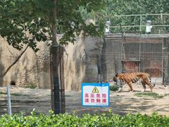 -秦皇岛野生动物园