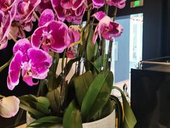 -奔驰上海利星(七宝店)