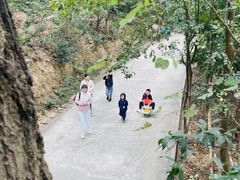 -小南山公园