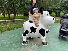 -长春公园(普阳街道)