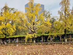 -四川大学(华西校区)