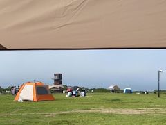 -春花秋色城市公园