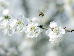 -广州市流溪河国家森林公园