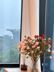 -芮澳普拉提工作室