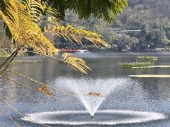 -重庆彩云湖湿地公园