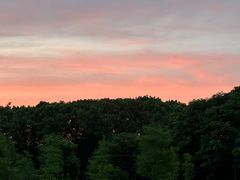 -昆山城市生态森林公园