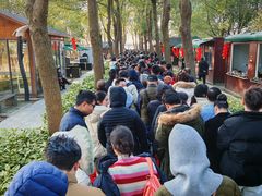 -溱湖国家湿地公园