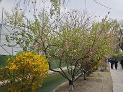-三里河公园