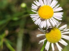 -桤木河湿地公园