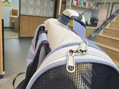 -联合动物医院(光谷诊疗中心)