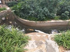 -郑州银基黄帝宫御温泉