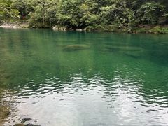 -石台牯牛降景区