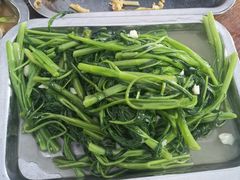 -新湖烧鸡(光明店)