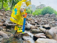 -白塘生态植物园