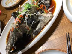 -必点海鲜·鲅鱼水饺(鞍山西道店)