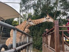 -泉州海丝野生动物世界