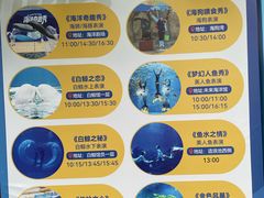 -秦皇岛乐岛海洋王国