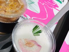 -Seesaw Coffee(苏州中心店)