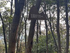 -午潮山国家森林公园