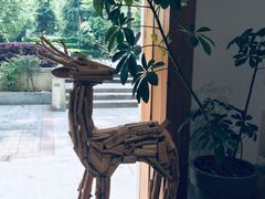 -COTTON CAFE(德信·中外公寓店)