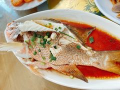 -七鲜渔港美食餐厅(巽寮湾海景店)