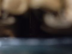 -荔湾湖公园