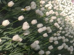 -西宁市人民公园(城西区)