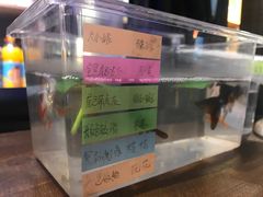 -小小河边鱼(天润城店)
