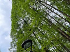 -杭州西湖柳莺里酒店·闻莺厅